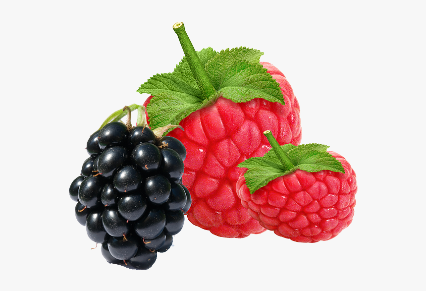 Carenel Lip Sleeping Mask, HD Png Download