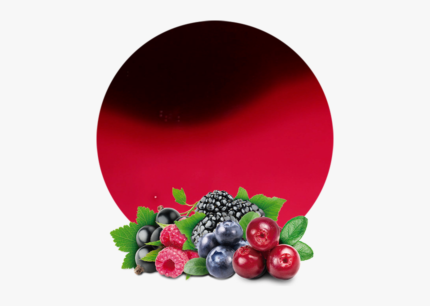Bayas Silvestres Png, Transparent Png