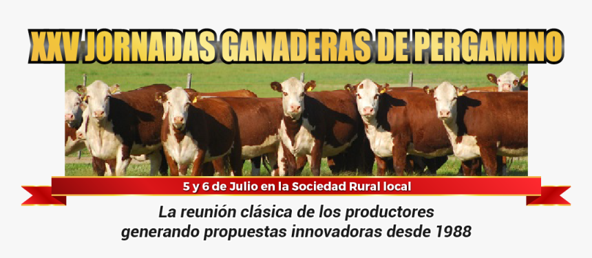 Pergamino , Png Download - Jornadas Ganaderas Pergamino 2018, Transparent Png