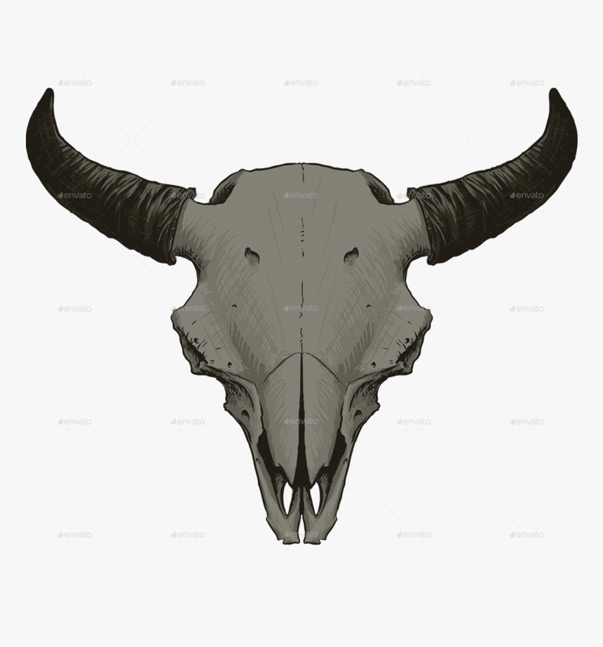Animal Skull Png, Transparent Png