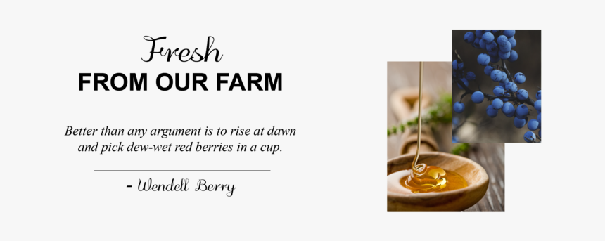 Berry Png, Transparent Png