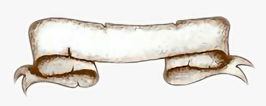 Driftwood, HD Png Download