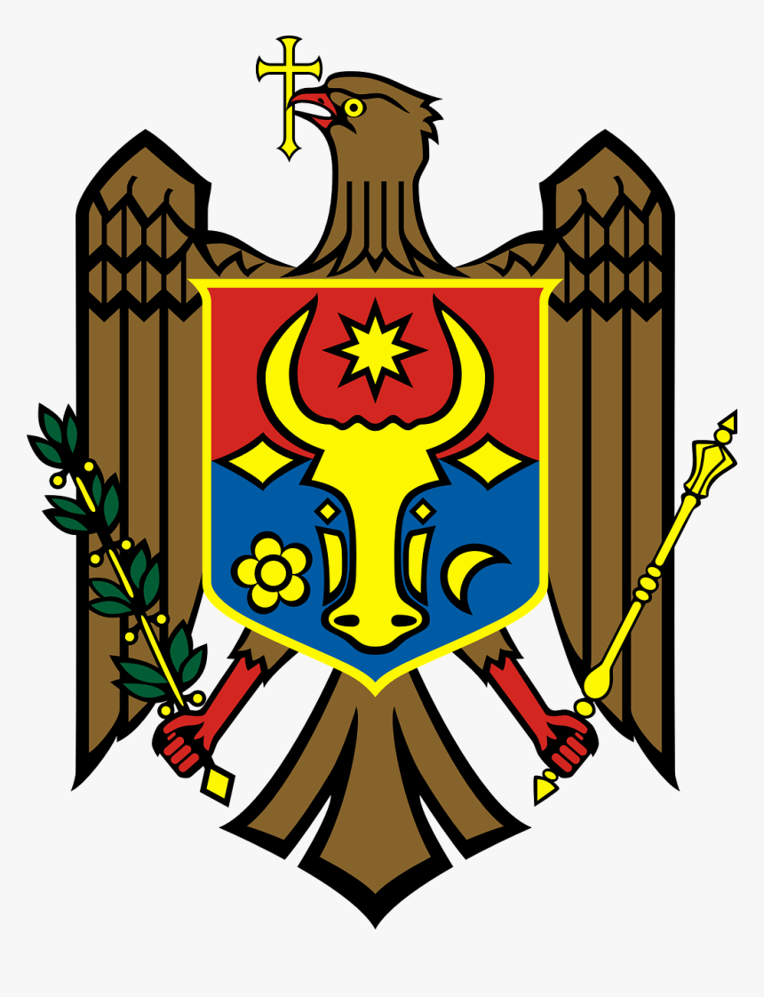 Coat, Arms, Brown, Eagle, Bird, Bull, Head, Badge - Moldova Flag, HD Png Download