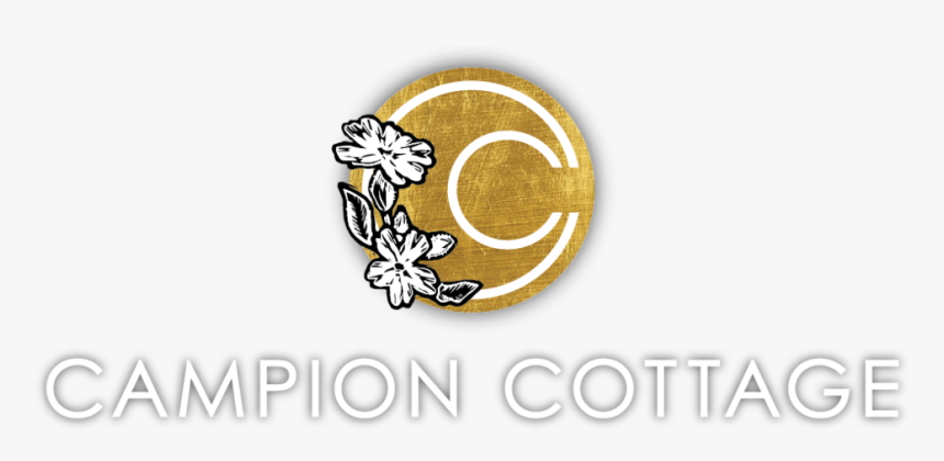 New Logo Transparent White Blur - Floral Design, HD Png Download