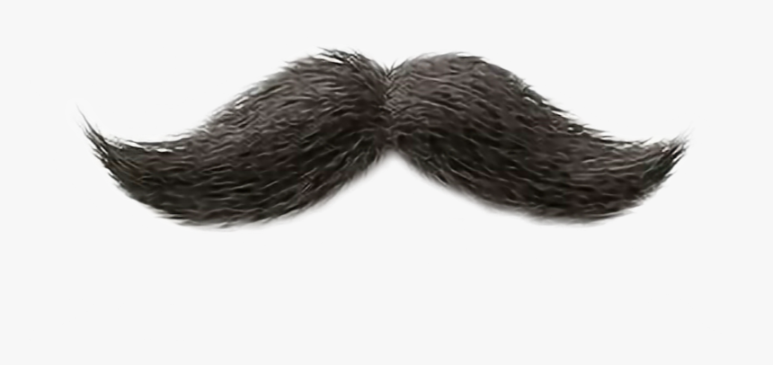 #bigote - Усы Пнг, HD Png Download