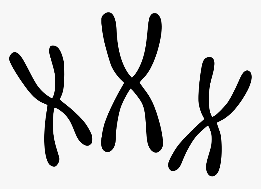 Chromosomes - Chromosome Black And White, HD Png Download
