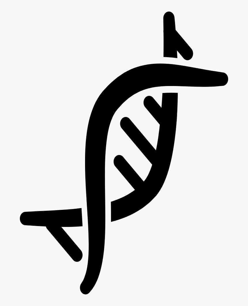 Chromosome - Genes Icon Png, Transparent Png