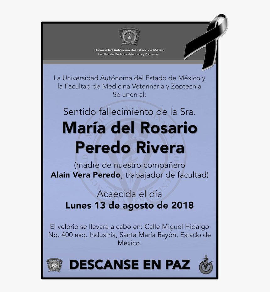 Transparent Bigote Mexicano Png - Scientologerna, Png Download