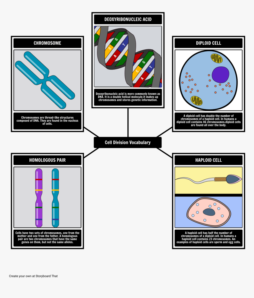 Plot Structure Of The Strange Case Of Dr Jekyll And, HD Png Download
