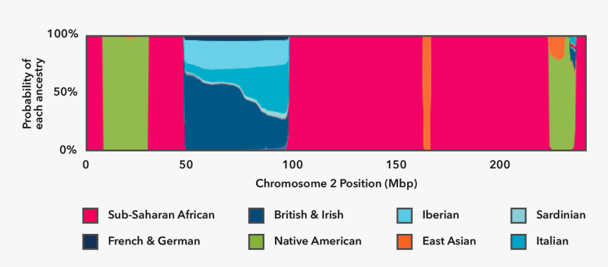 23andme How It Works, HD Png Download