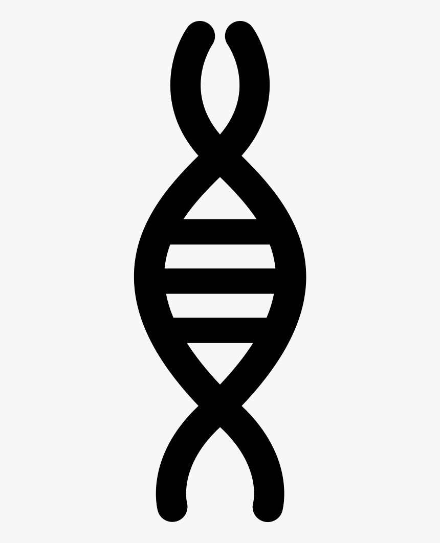 Chromosome - Cromosoma Logo, HD Png Download