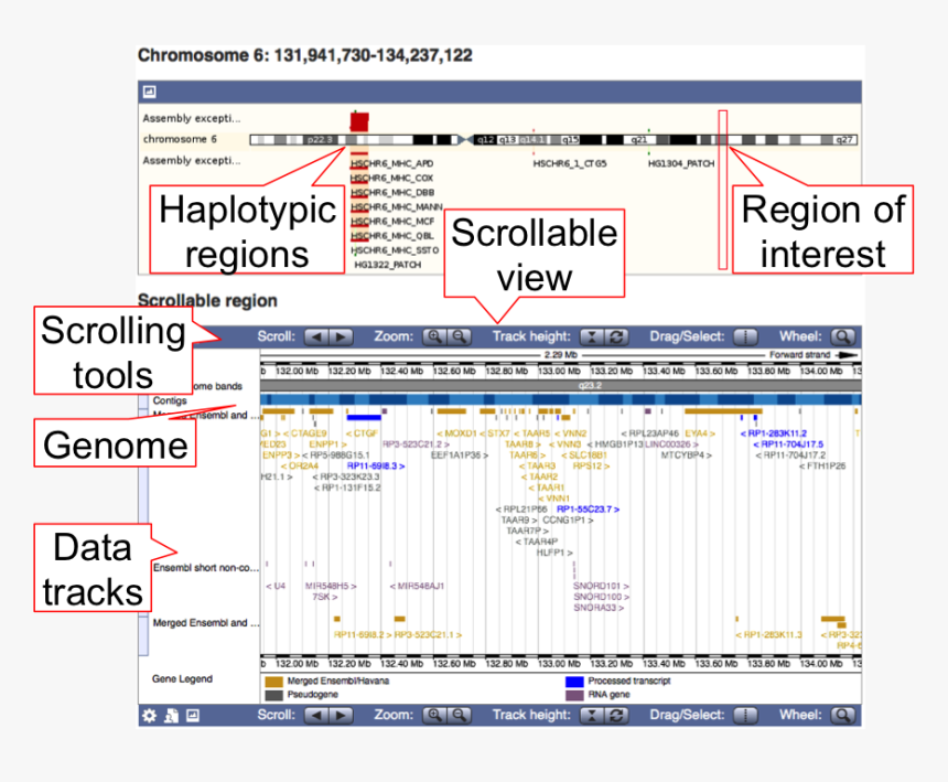 Screenshot, HD Png Download