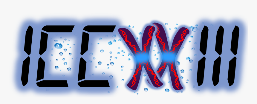 23rd International Chromosome Conference, HD Png Download