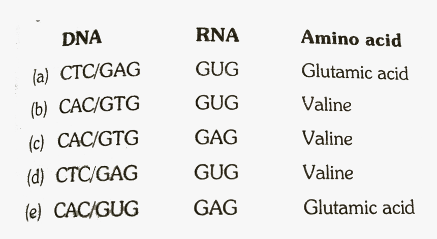 Number, HD Png Download