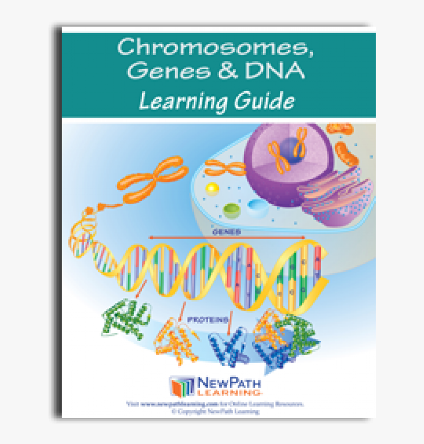 Poster, HD Png Download