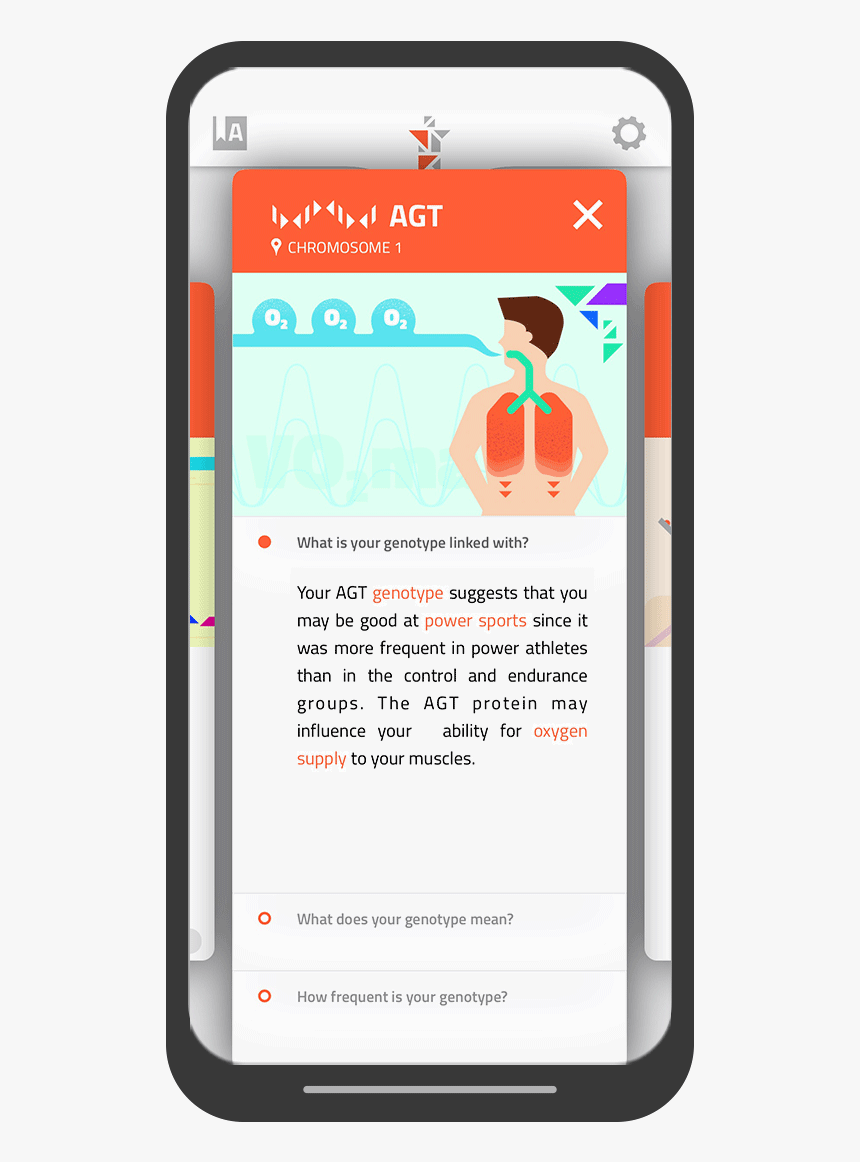 Iphone, HD Png Download