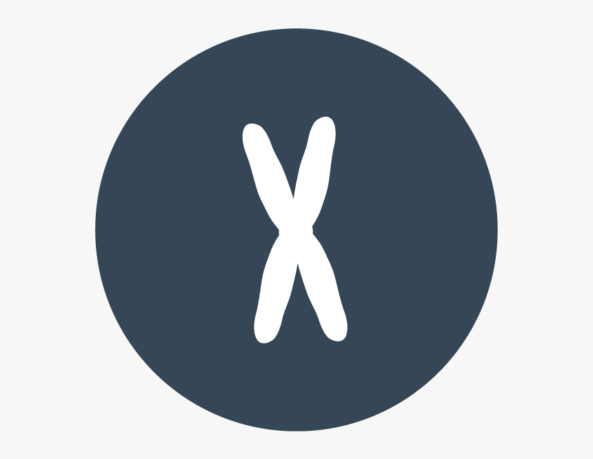 Epigenetics In Project Mine - Circle, HD Png Download