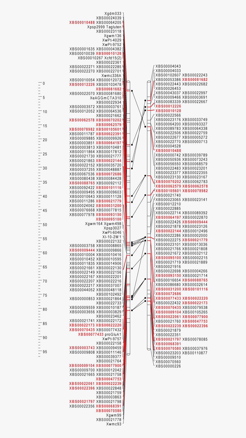 Slope, HD Png Download