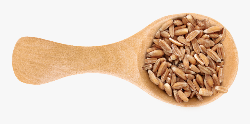 Dinkel Wheat, HD Png Download
