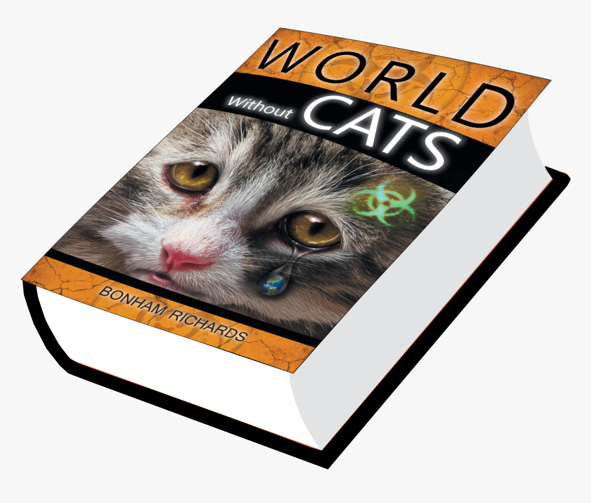 Tabby Cat, HD Png Download