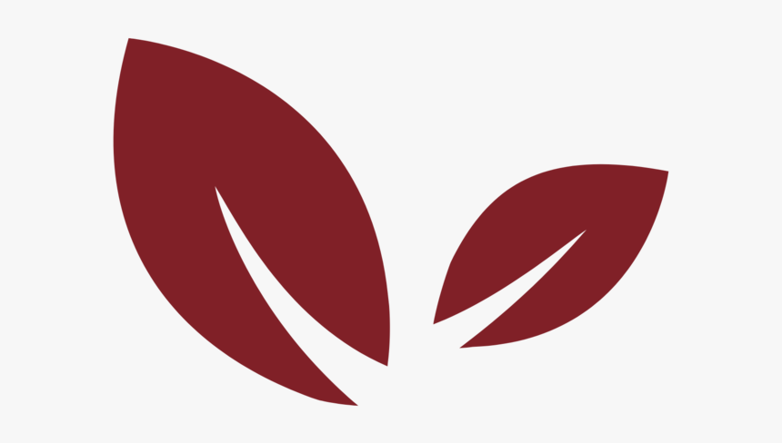 Magmo Conserve - Graphic Design, HD Png Download