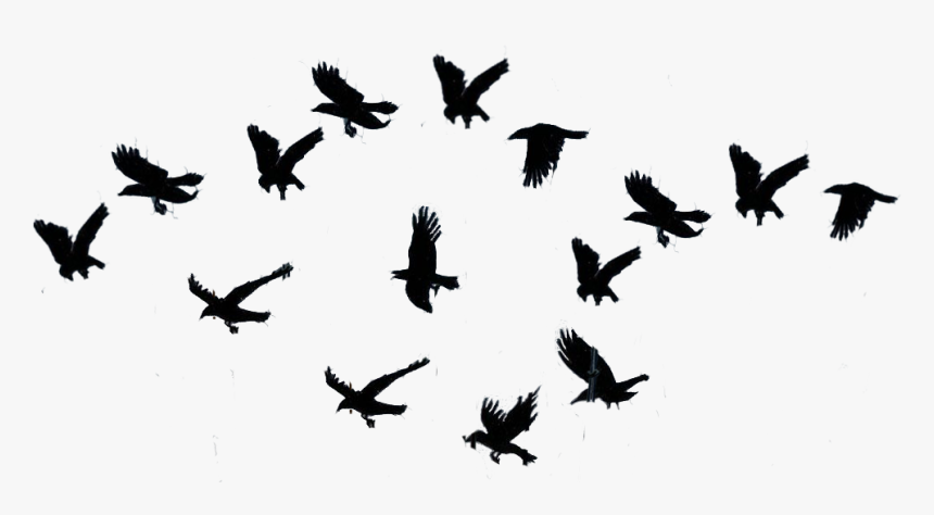 The Awesome Power Of Nature, HD Png Download