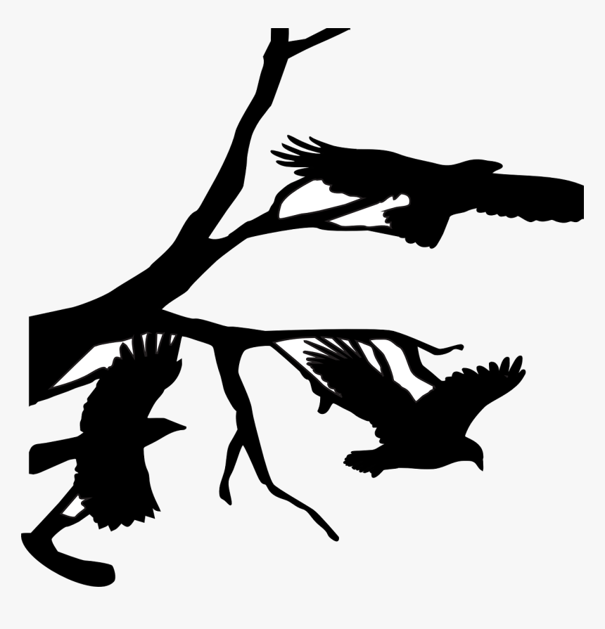 Three, Crows, Raven, Flying, Branch, Branches, Bird - Crow On Branch Silhouette Png, Transparent Png