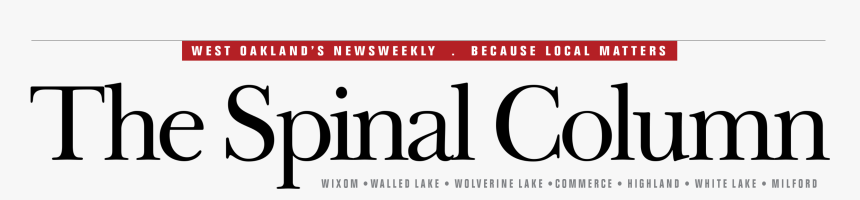 Oval, HD Png Download