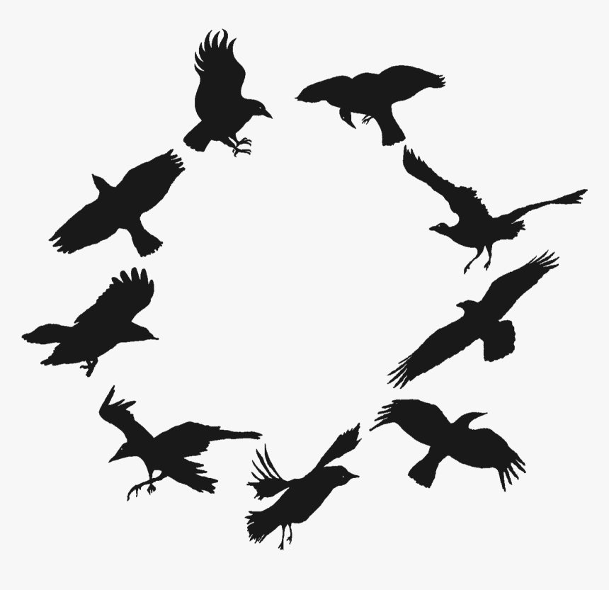 9 Morgen Crows - Flock Of Crows Png, Transparent Png