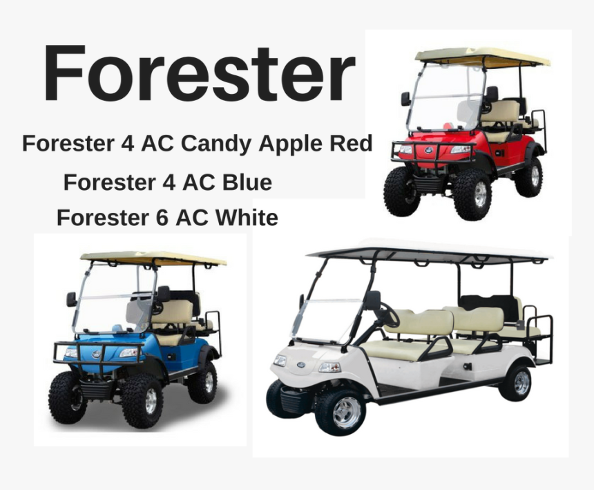 Evolution Foresters - 6 Passenger Golf Cart Fsu, HD Png Download
