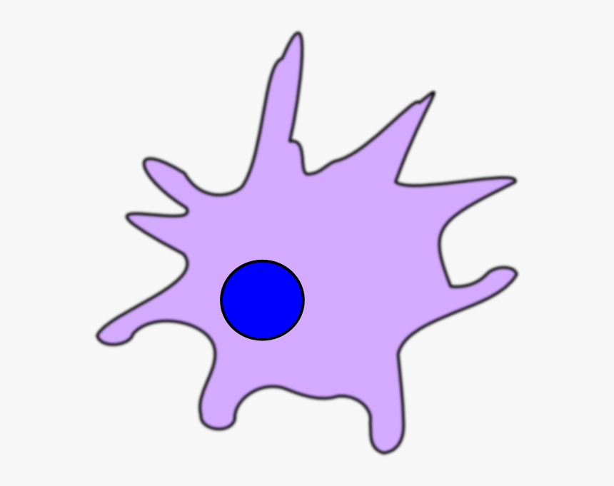 Dendritic Cell Clip Art At Clker - Dendritic Cell Clip Art, HD Png Download