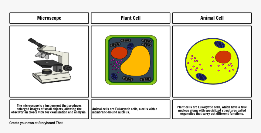 Storyboard, HD Png Download