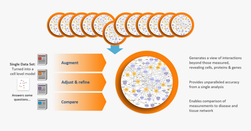Picture3 - Circle, HD Png Download