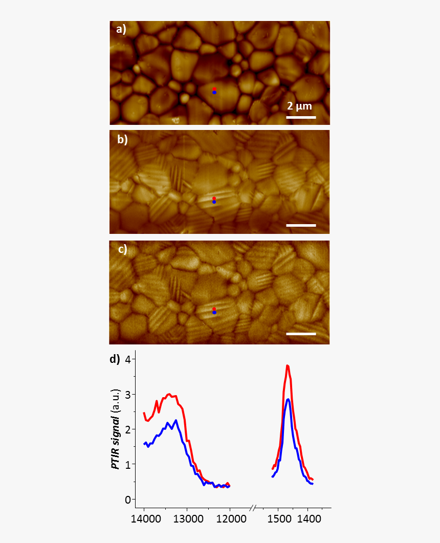 Observation Of Ferroelastic Domains In Organic-inorganic - Perovskite Afm, HD Png Download