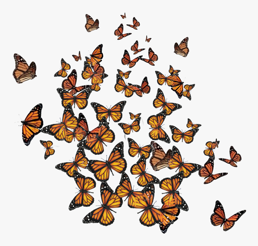 #freetoedit - Bonage, HD Png Download