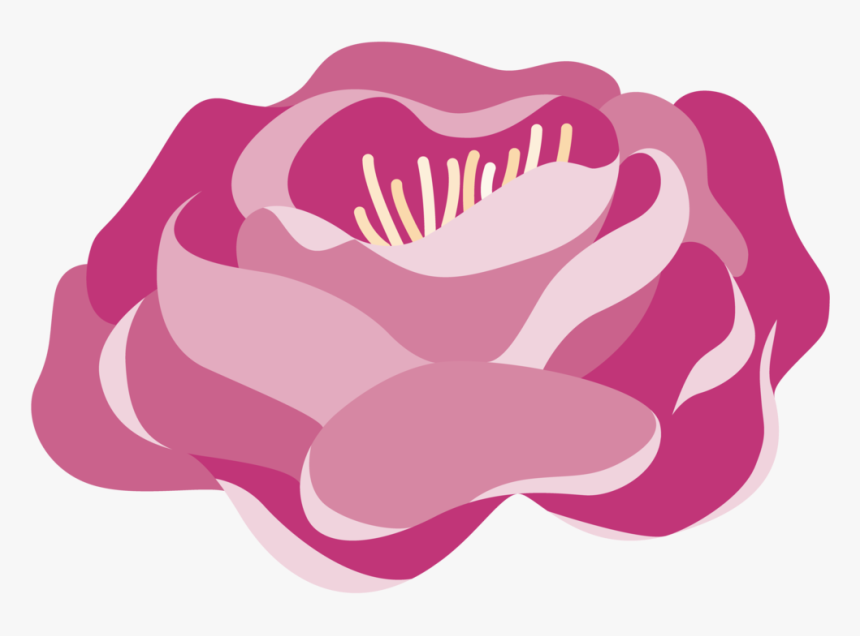 Ht Peonies01 Indv-01 - Illustration, HD Png Download