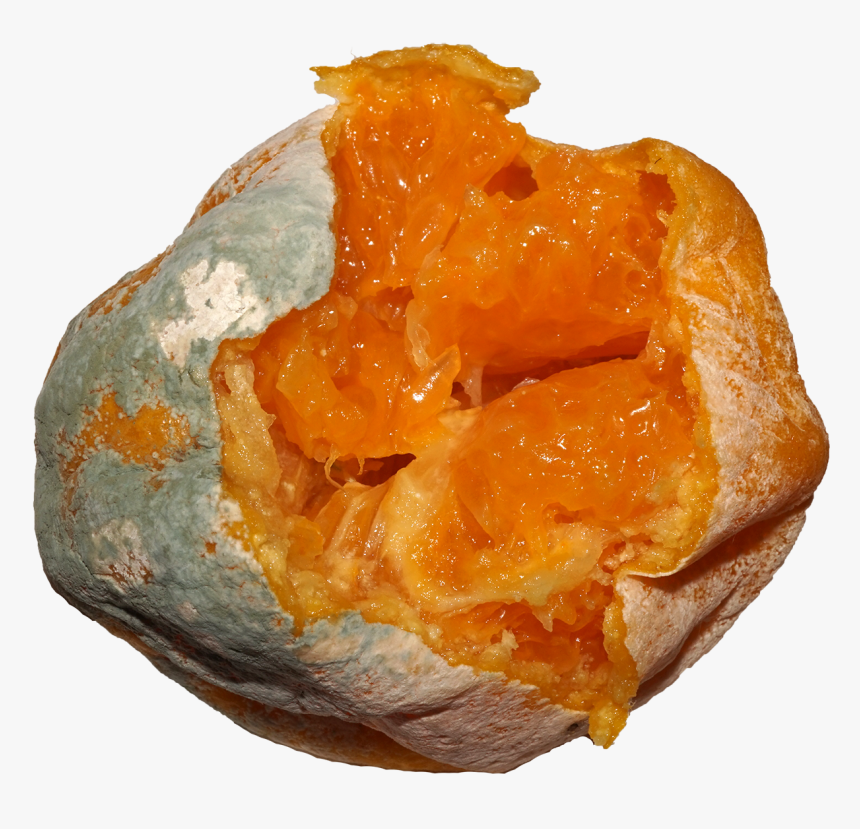 Citrus Fruit Mold - Pastry, HD Png Download