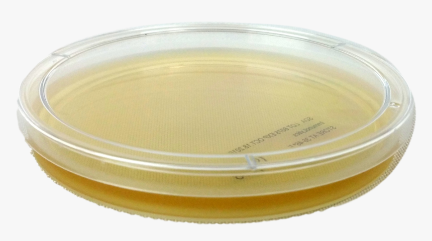 Bangle, HD Png Download