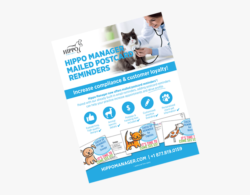 Veterinary Software Reminder Postcards - Flyer, HD Png Download