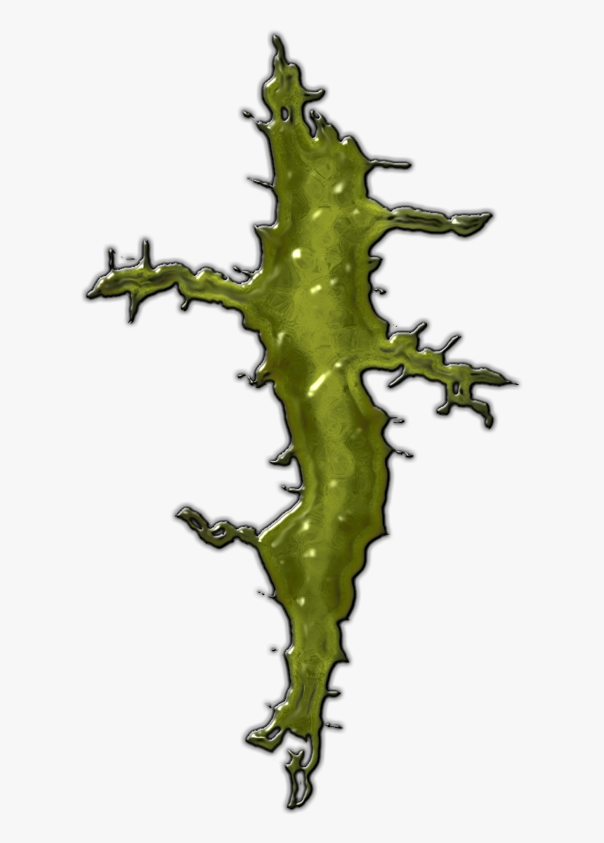 Pathfinder Slime Mold, HD Png Download