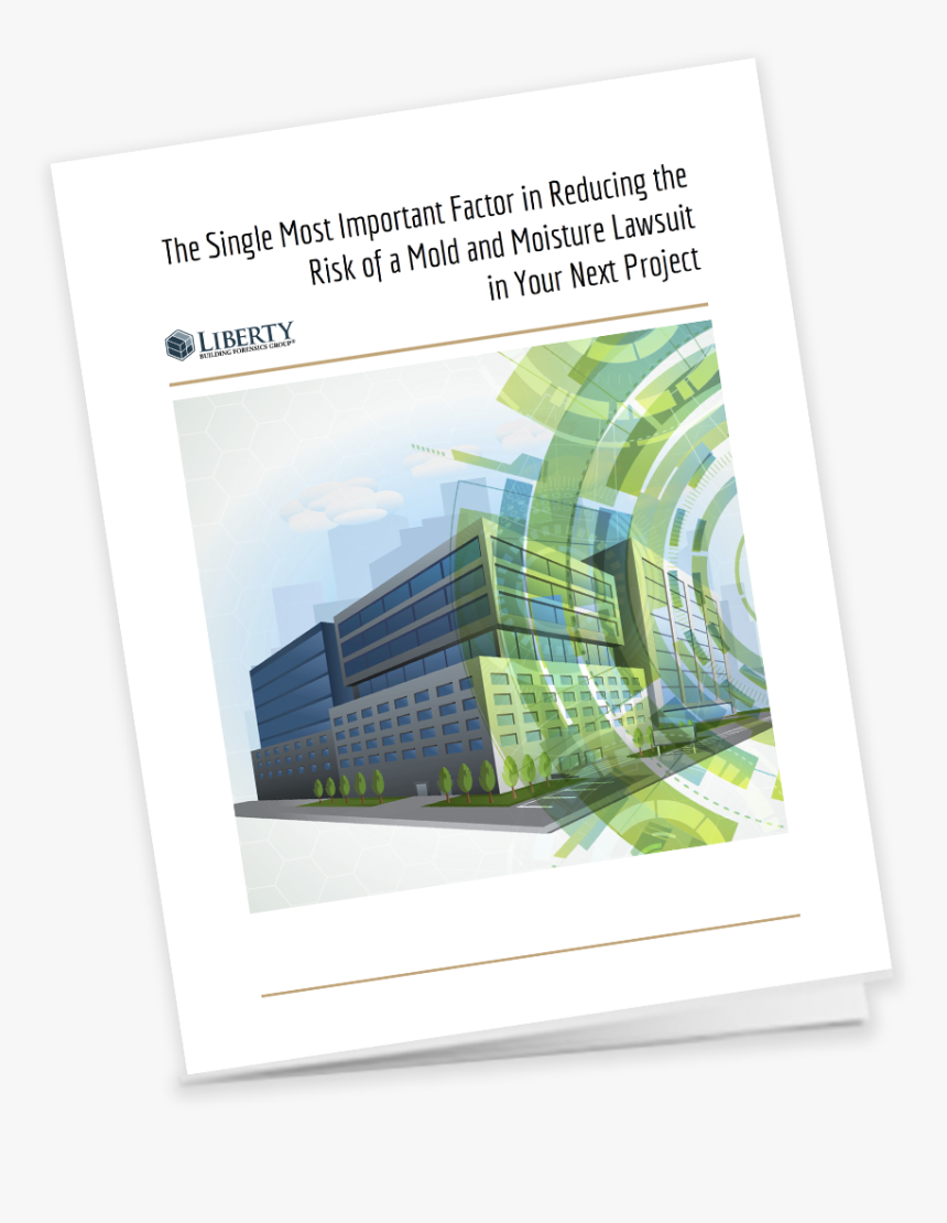 The Single Most Important Factor In Reducing The Risk - Flyer, HD Png Download