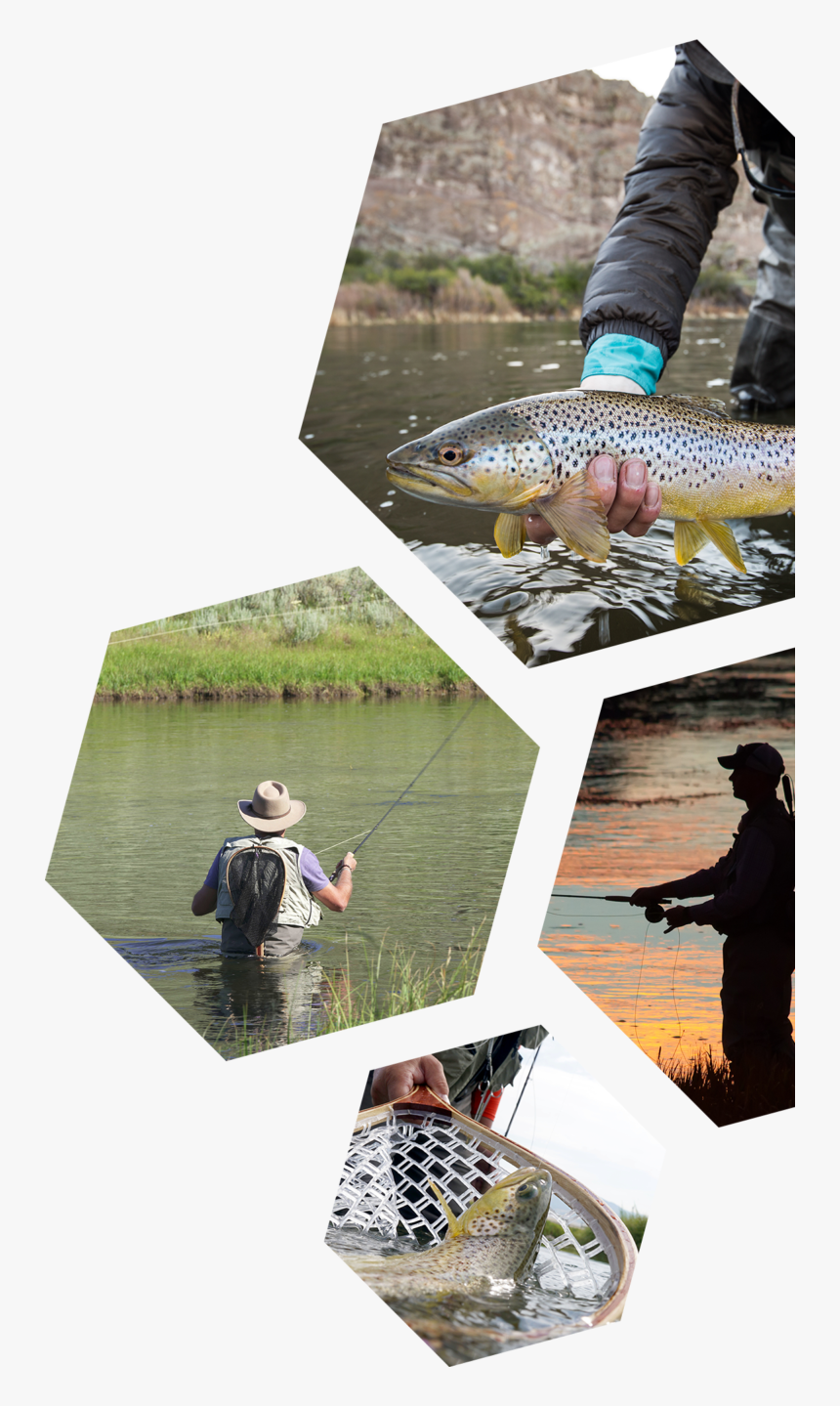 Fly Fishing, HD Png Download
