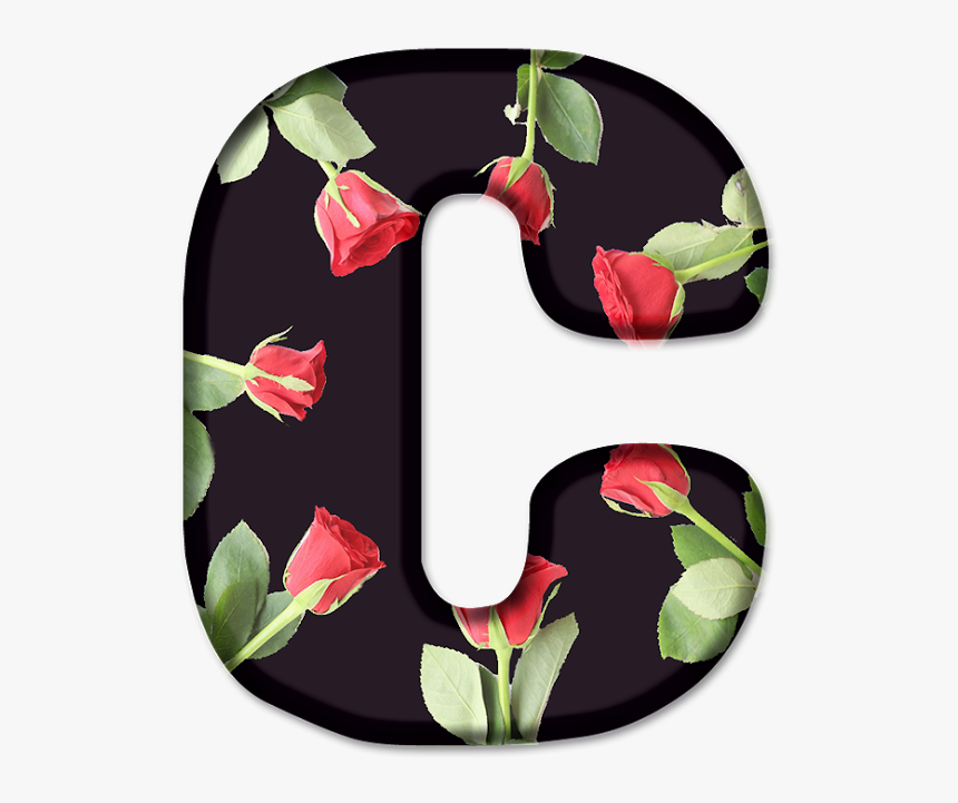 Tulip, HD Png Download