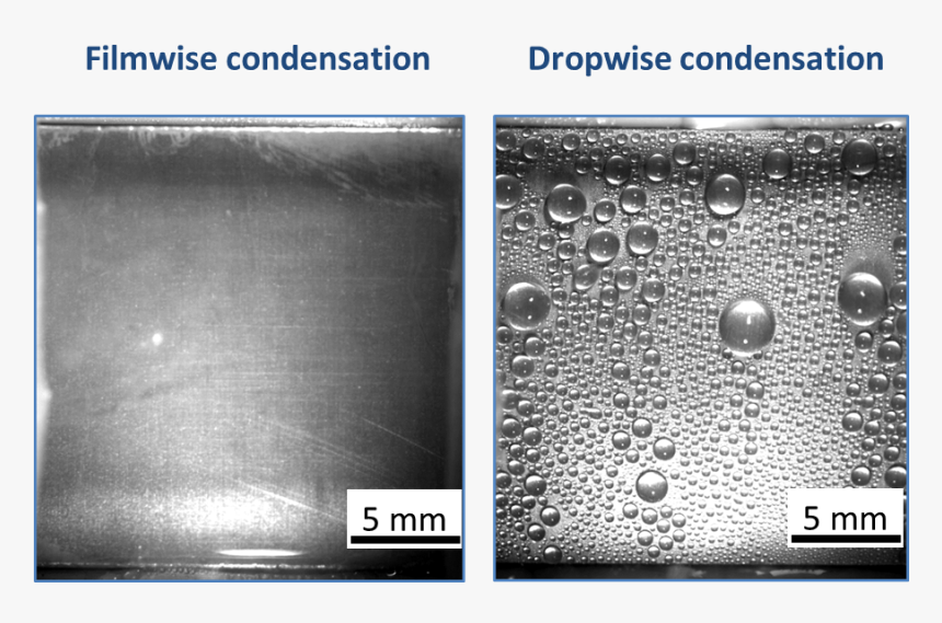 Dropwise Condensation And Filmwise Condensation, HD Png Download