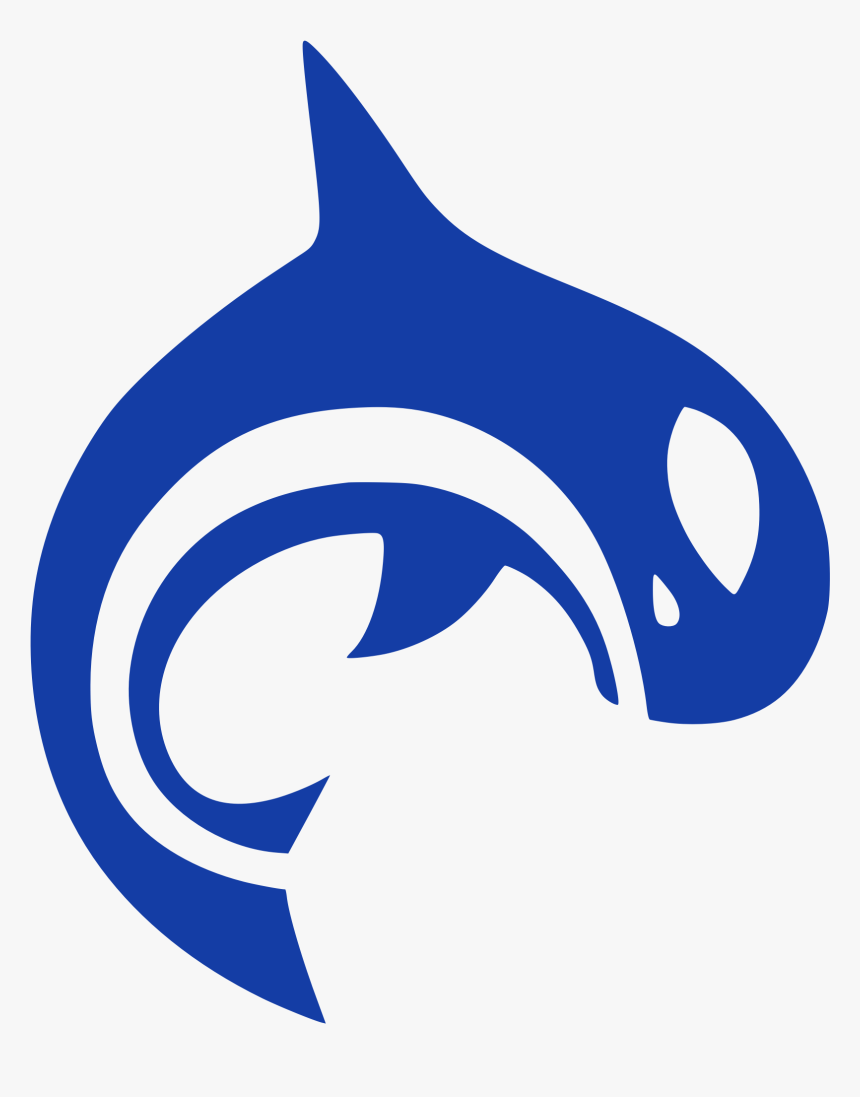 Orca Updated Logo - Killer Whale, HD Png Download