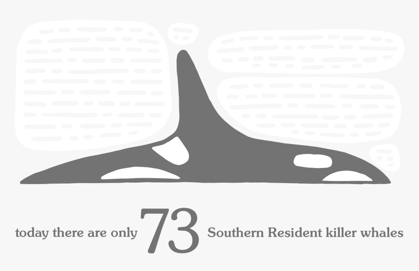 Killer Whale, HD Png Download