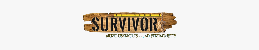 Survivor Logo Btl Sml - Wood, HD Png Download