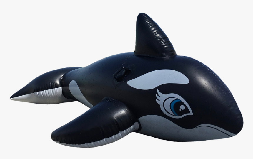 Wal, Killer, Orca, Marine Mammals, Float, Toys - Schwimmhilfe Png, Transparent Png