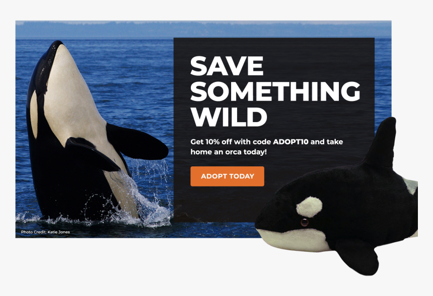 Adopt An Orca - Gif Con Movimiento De Animales, HD Png Download