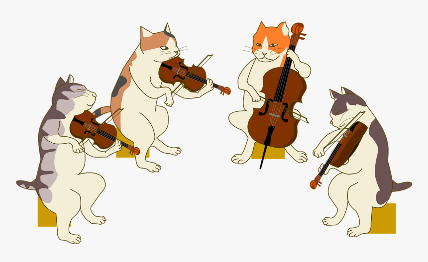 Quartet, Cat, Violin, Cello, Viola, Stage, Music - String Instrument, HD Png Download